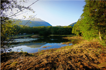 陽明山冷水坑-陽明山溫泉會館推薦