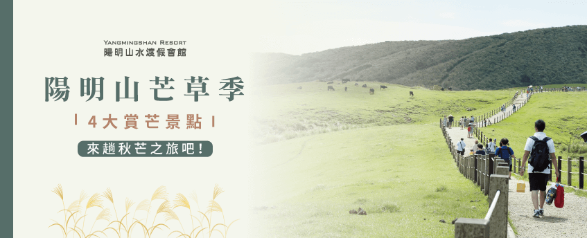 2019陽明山芒草季即將在10、11月登場,快來看看4大賞芒景點,規劃一趟秋芒之旅吧! 陽明山芒草季2019-陽明山溫泉會館推薦