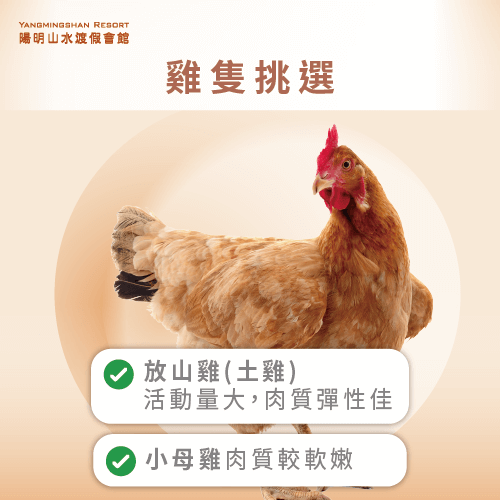 雞隻挑選-陽明山雞肉餐廳