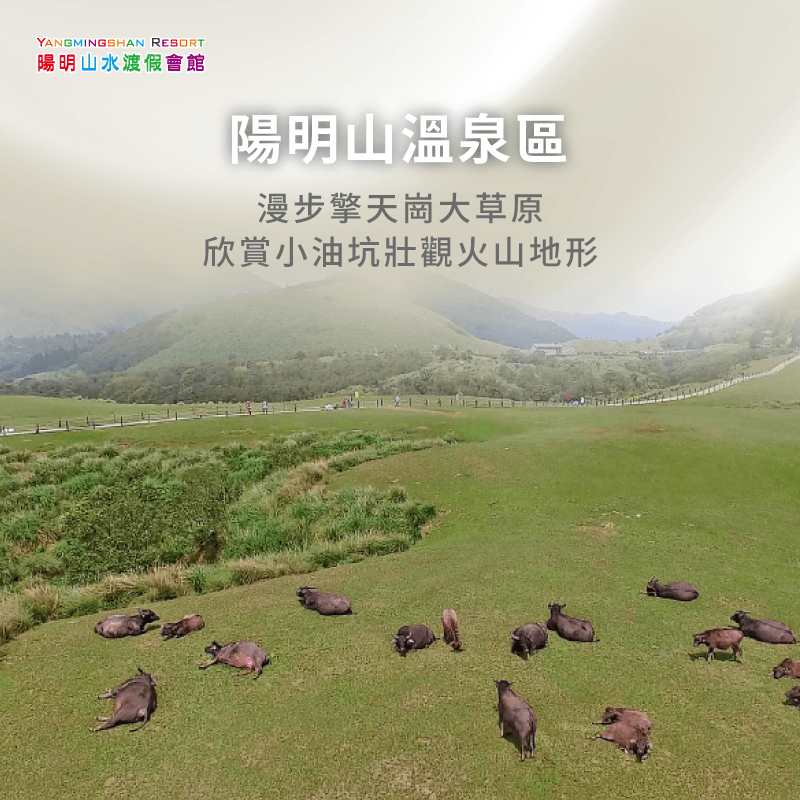 遊覽陽明山溫泉區時,可前往擎天崗與小油坑,體驗火山地貌的獨特魅力 陽明山溫泉區-泡湯行程