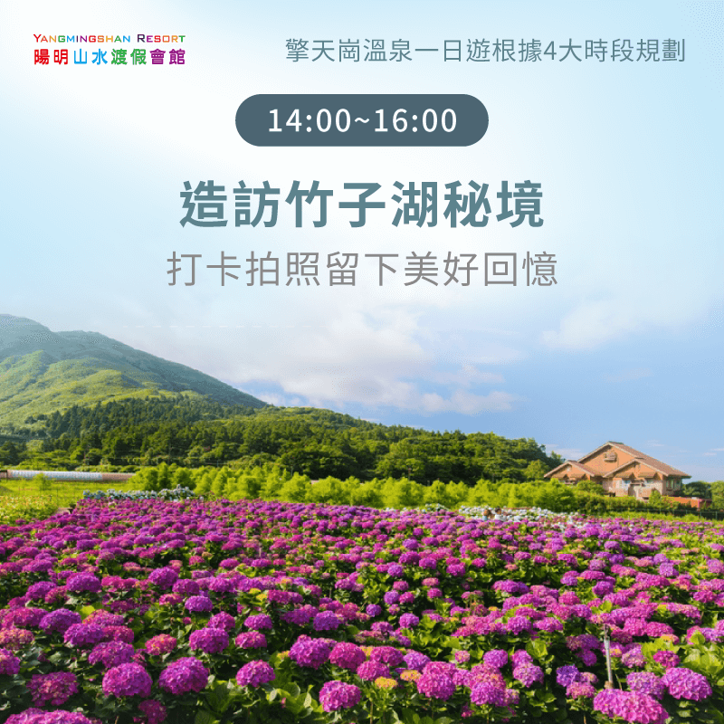 下午造訪竹子湖秘境-擎天崗 一日遊