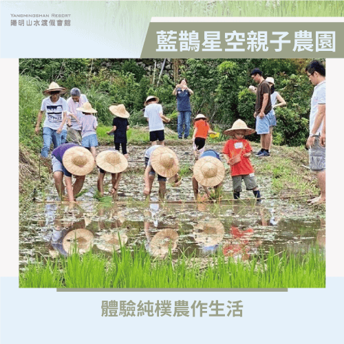藍鵲星空親子農園-北台灣親子泡湯推薦景點