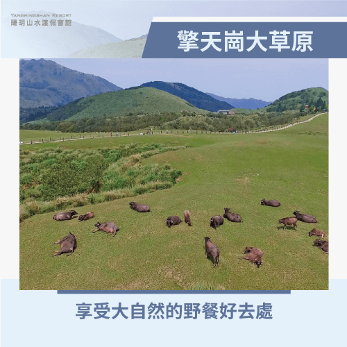 擎天崗大草原-北台灣親子泡湯推薦景點