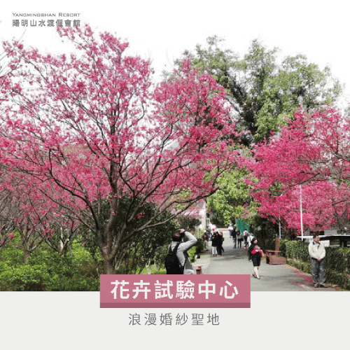 花卉試驗中心-陽明山賞花泡溫泉景點有哪些