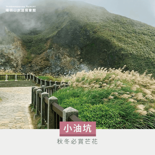 小油坑-陽明山賞花泡溫泉景點有哪些