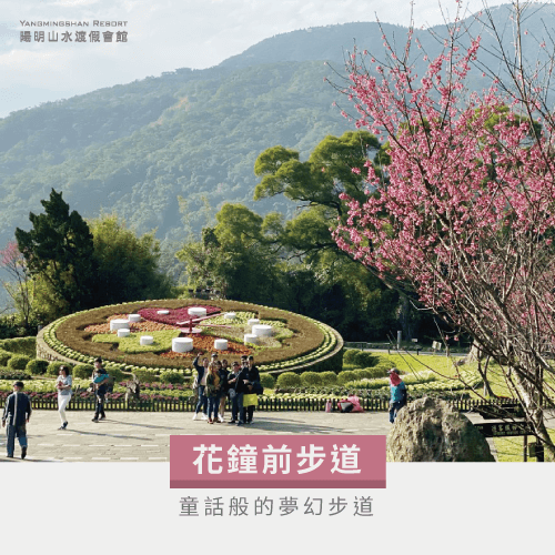 花鐘前步道-陽明山賞花泡溫泉景點有哪些