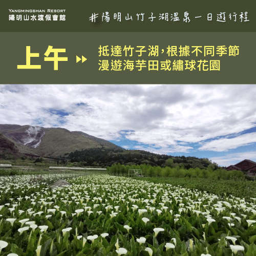 竹子湖賞花-陽明山竹子湖一日遊