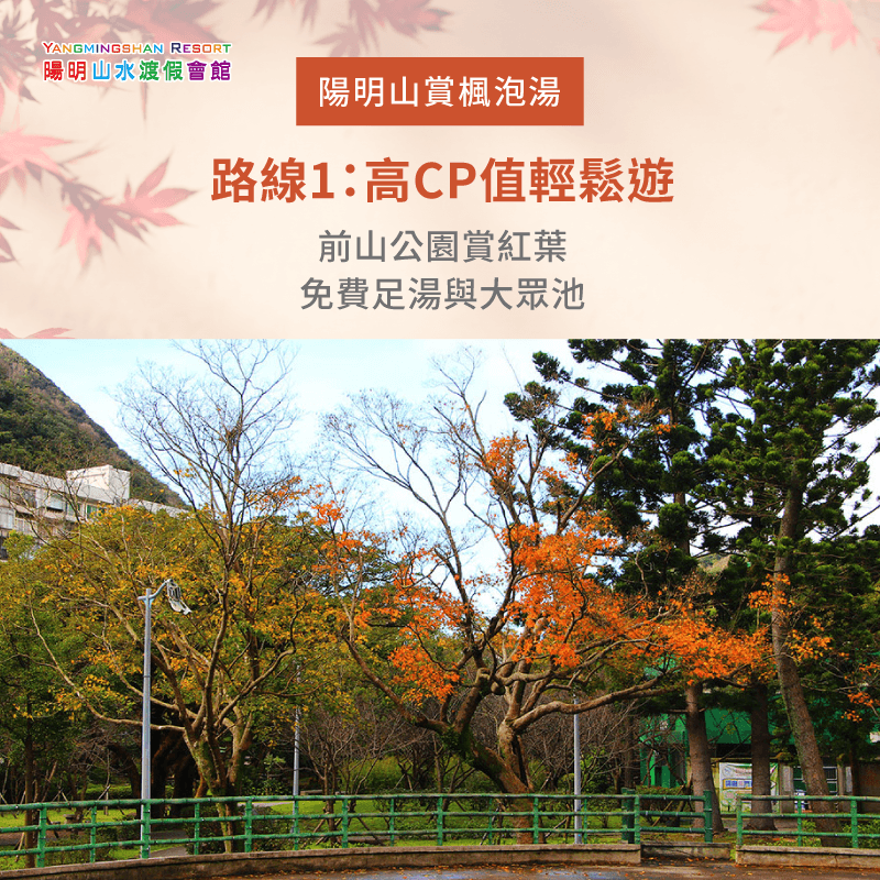 前山公園欣賞紅葉-陽明山賞楓泡湯