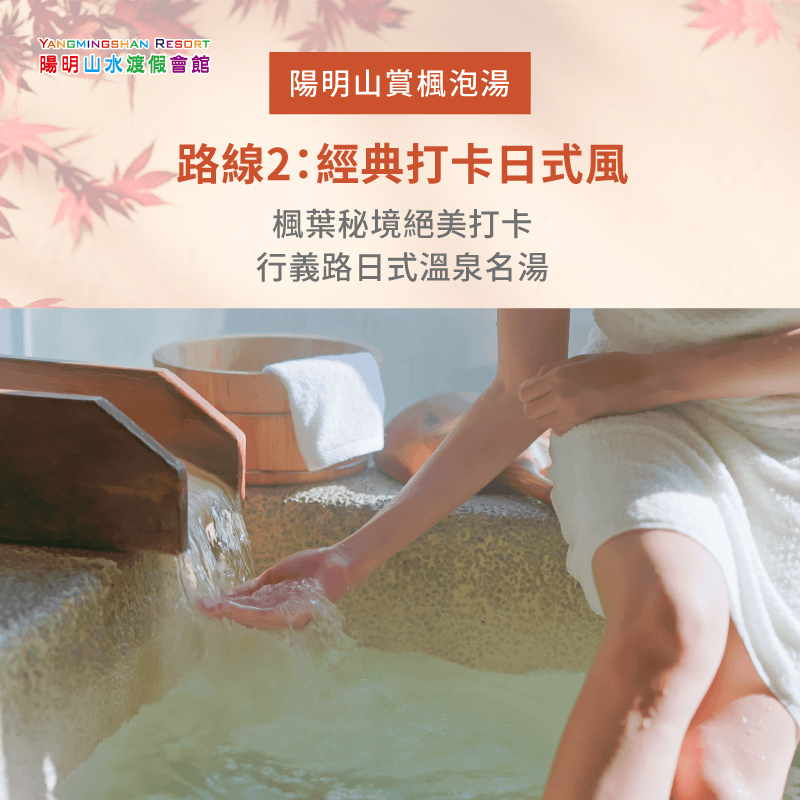 楓葉秘境美景洗禮-陽明山賞楓泡湯