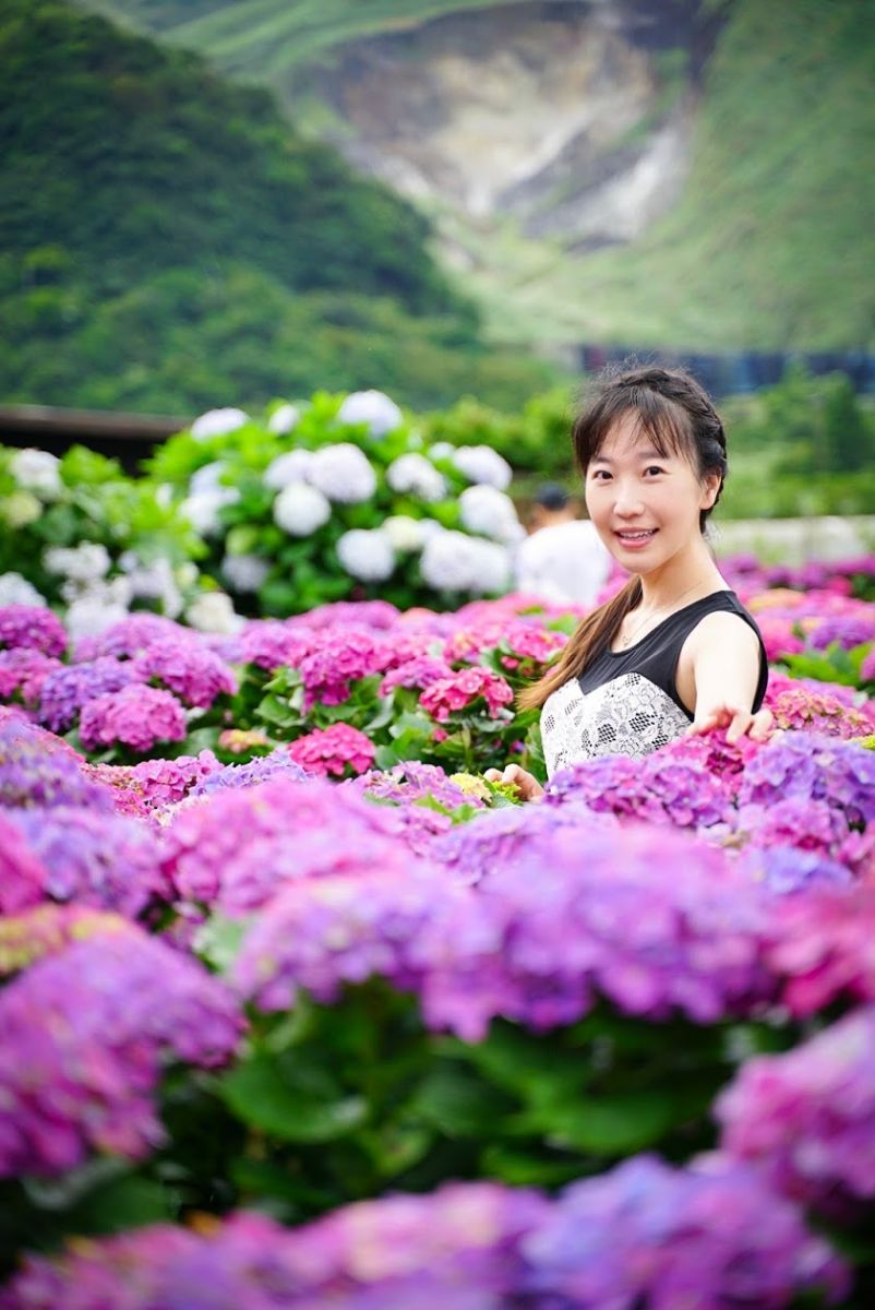 蘿絲紫陽花照-金山溫泉會館推薦