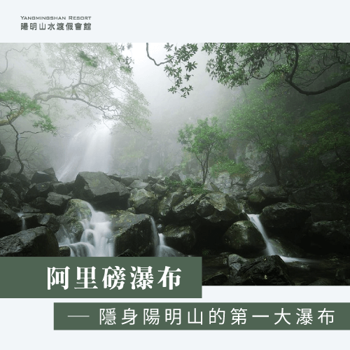 陽明山避暑勝地-陽明山避暑秘境-陽明山避暑