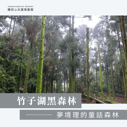 陽明山避暑勝地-陽明山避暑秘境-陽明山避暑