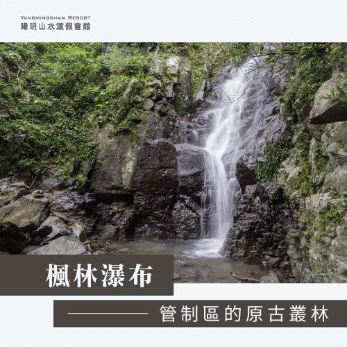 陽明山避暑勝地-陽明山避暑秘境-陽明山避暑