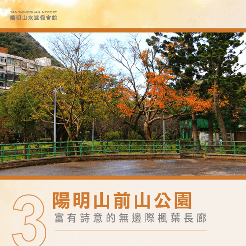 陽明山前山公園賞楓-陽明山賞楓